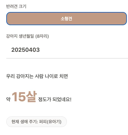 강아지 나이 계산기 사용 예시 화면